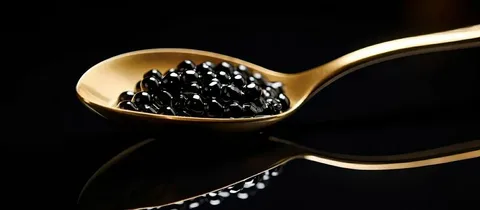 خاویار سیاه سطح بالا ترکیب غذایی ویژه